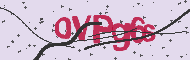 Codice captcha