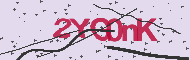 Codice captcha