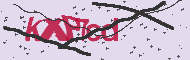 Codice captcha