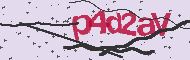 Codice captcha