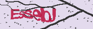 Codice captcha