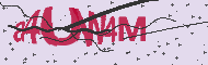 Codice captcha