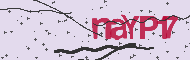 Codice captcha