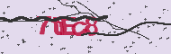 Codice captcha