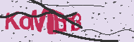 Codice captcha