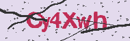 Codice captcha