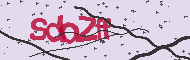 Codice captcha