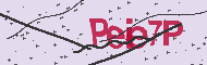 Codice captcha