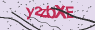 Codice captcha