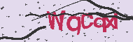 Codice captcha